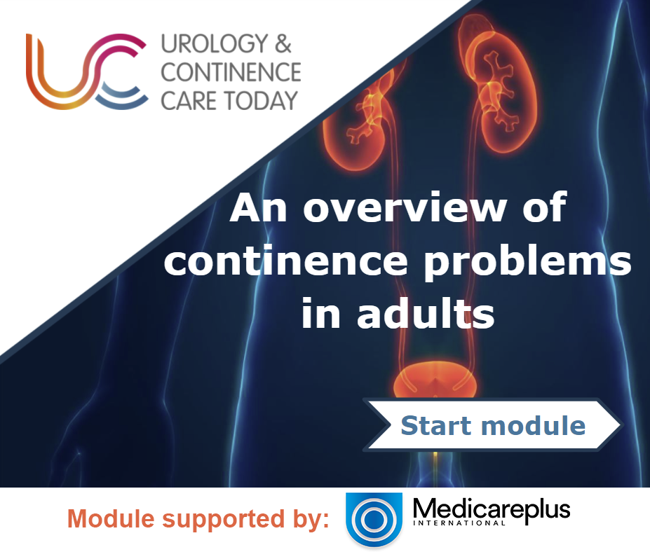 An overview of continence problems in adults